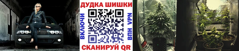 Шишки марихуана марихуана  где купить наркоту  Тавда 